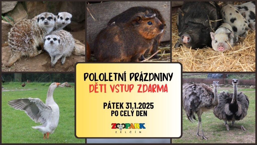 www.vstupzdarma.cz 469451640 1159742379491353 1772739665022914144 n 1024x577