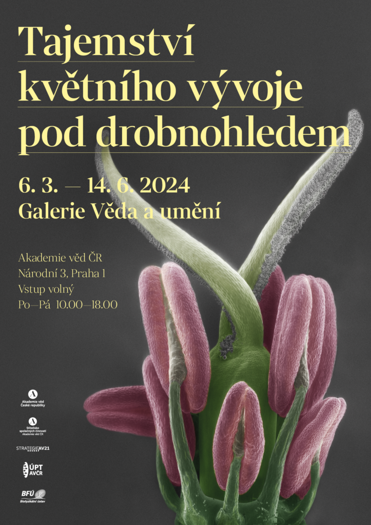 www.vstupzdarma.cz a1 net s logy 723x1024