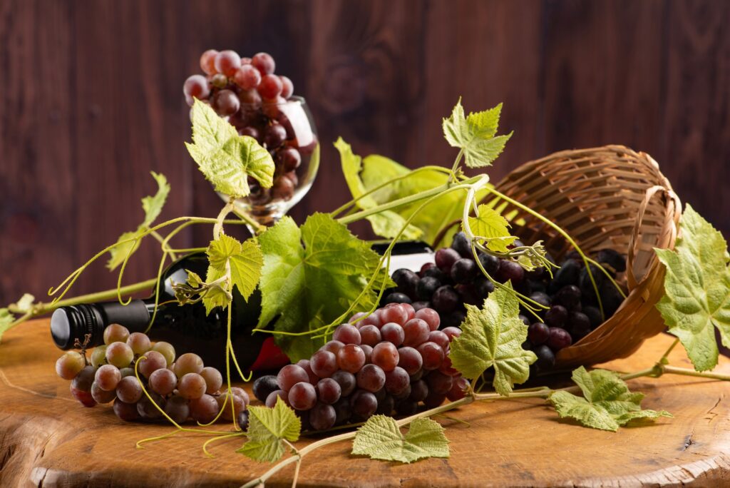 www.vstupzdarma.cz roudnicke vinobrani 2025 1024x684