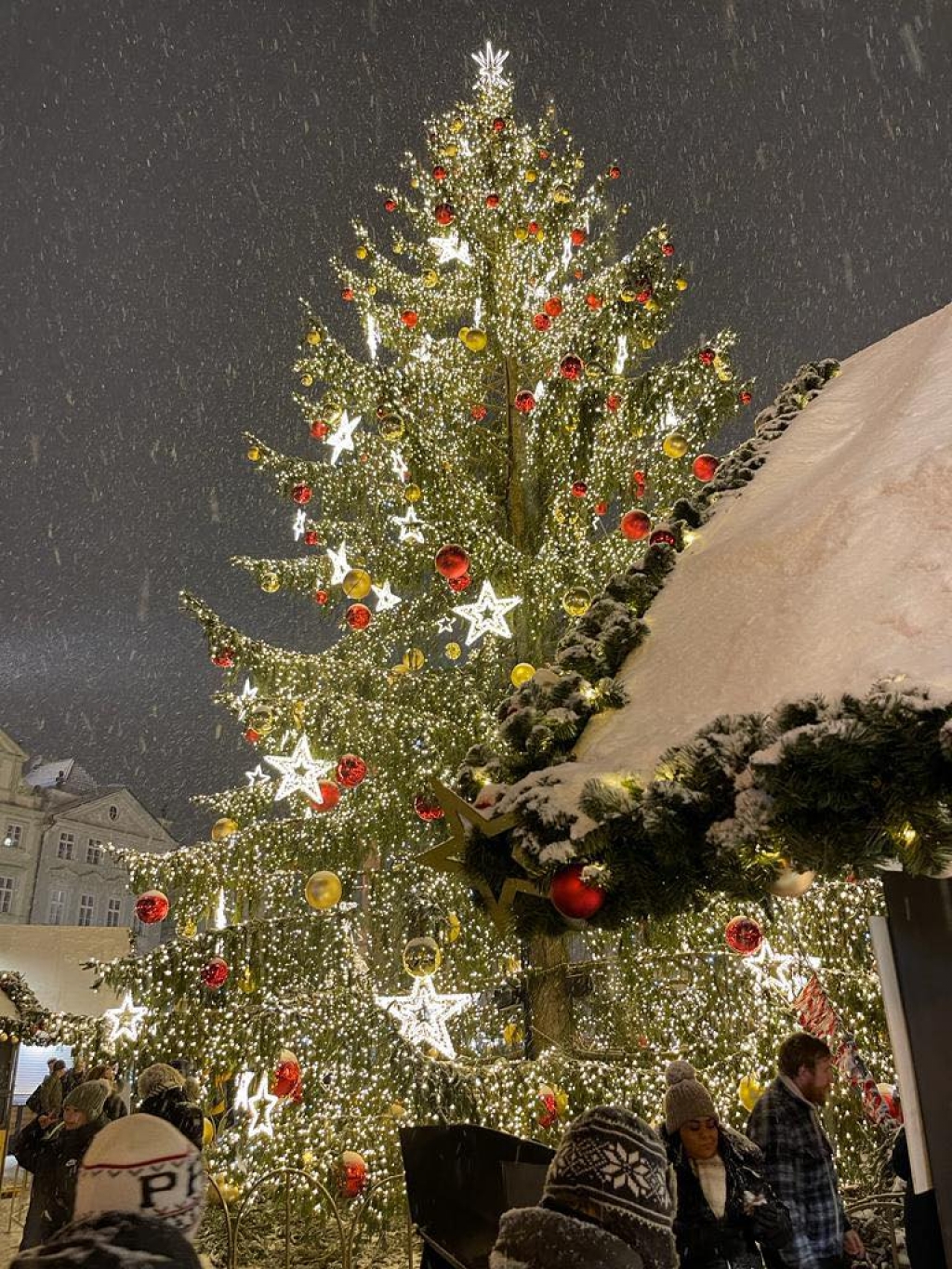 Slavnostní rozsvícení vánočního stromu na Staroměstském náměstí v Praze 2023