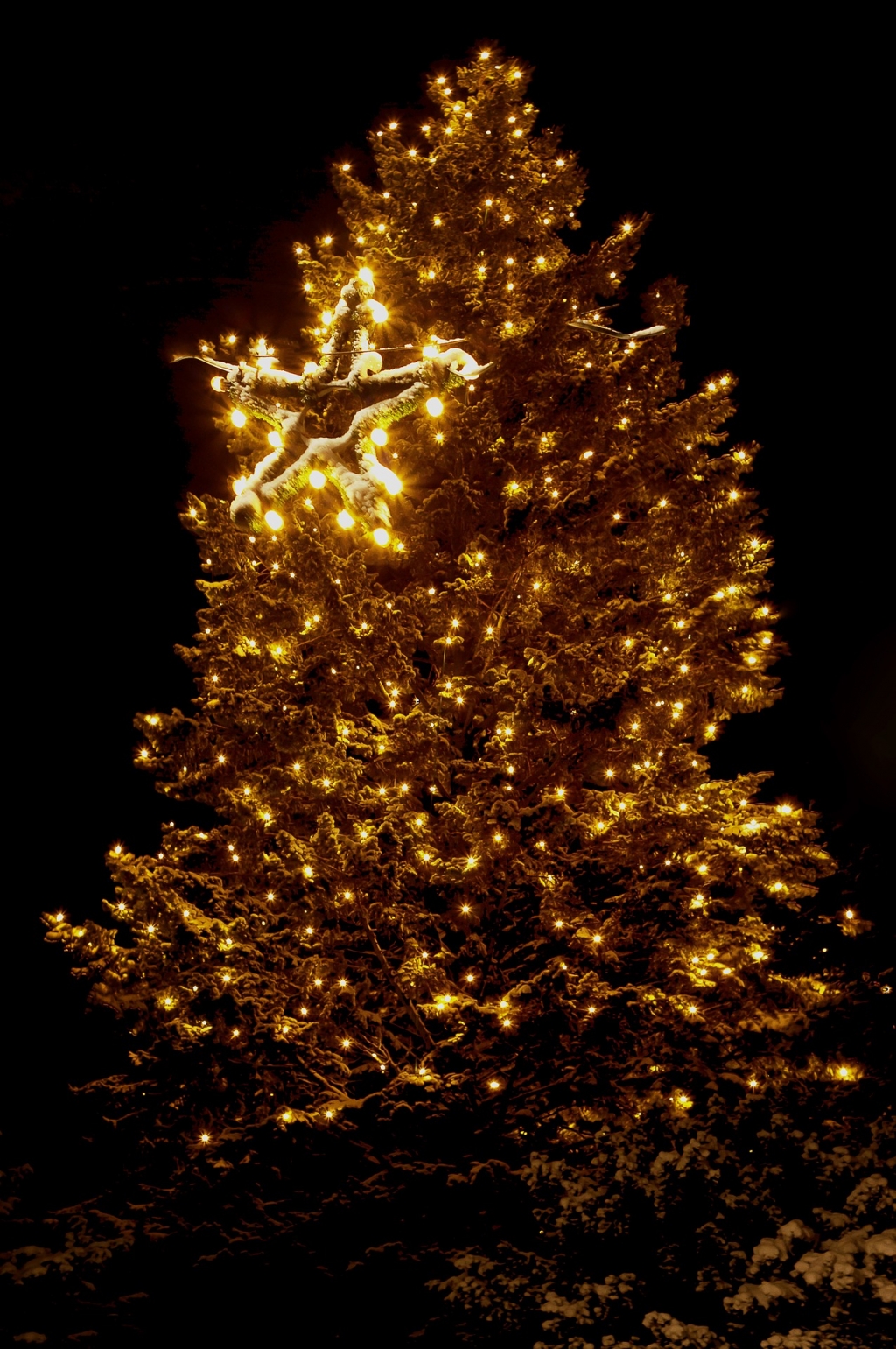 Slavnostní rozsvícení vánočního stromu na Staroměstském náměstí v Praze 2022