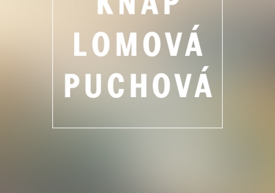 Komentovaná prohlídka Knap / Lomová / Puchová