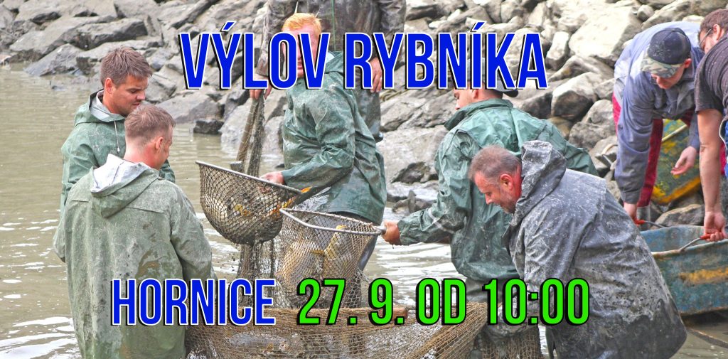 www.vstupzdarma.cz vylov obecniho rybnika v hornicich 2025 1024x505